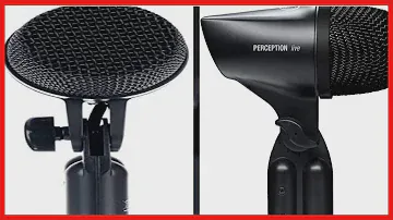 AKG Pro Audio P2 High-Performance Dynamic Bass Microphone