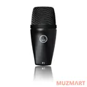 AKG P2 Инструментальный динамический микрофон