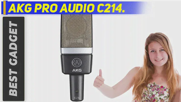 Best Microphones 2022 - AKG Pro Audio C214 Review