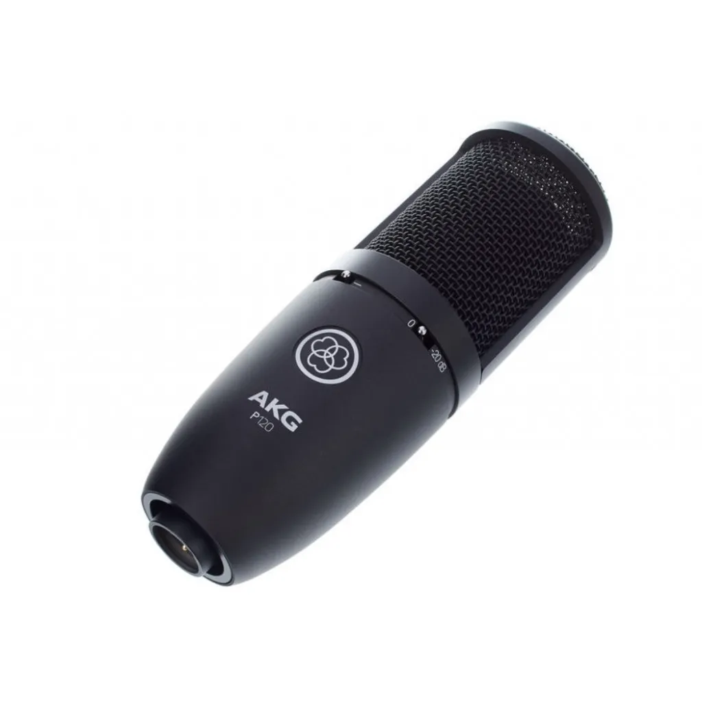 AKG AKG Perception 120 (P120)-2